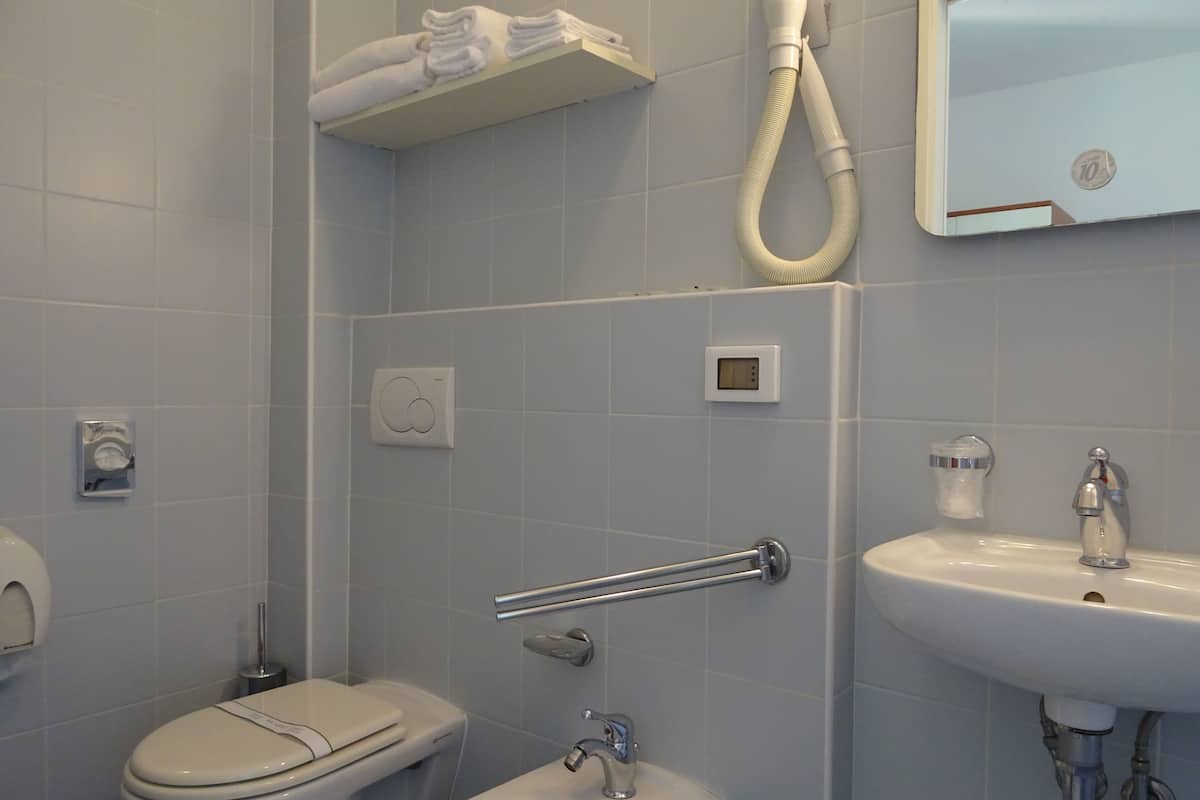 shower, hair dryer, bidet, towels