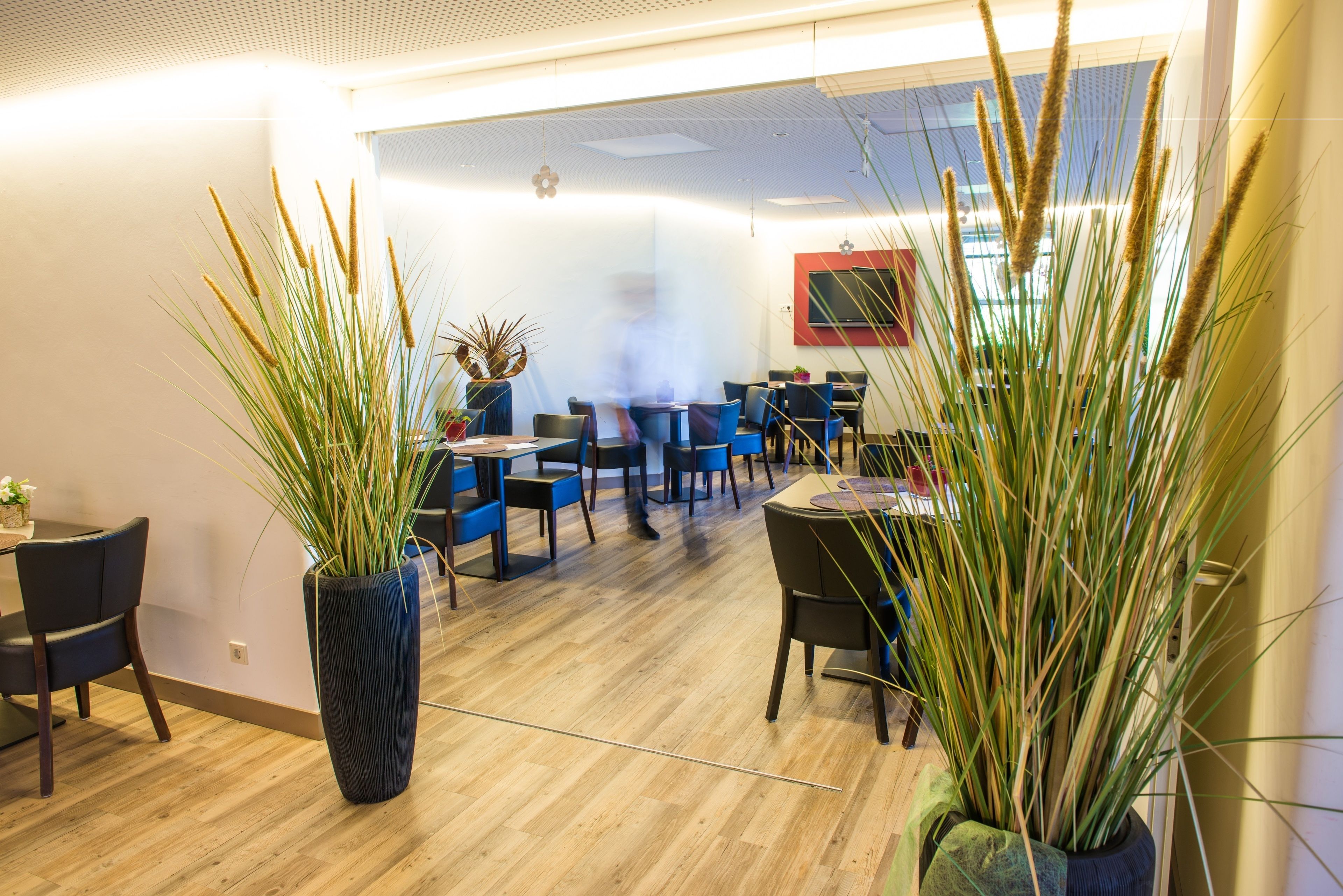 breakfast, lunch and dinner served