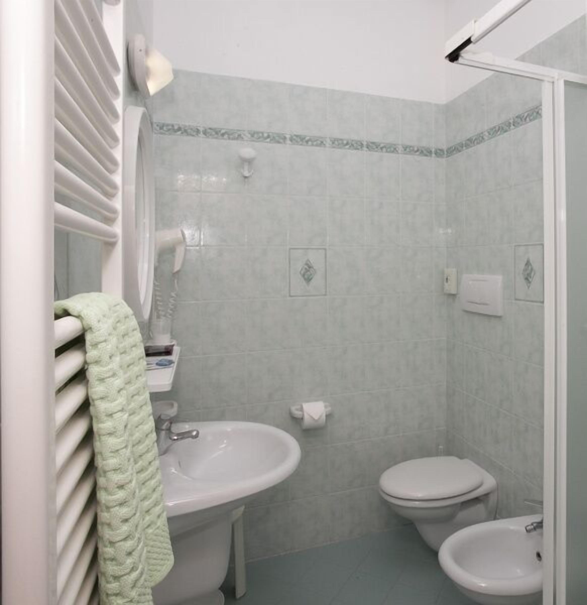 shower, free toiletries, hair dryer, bidet