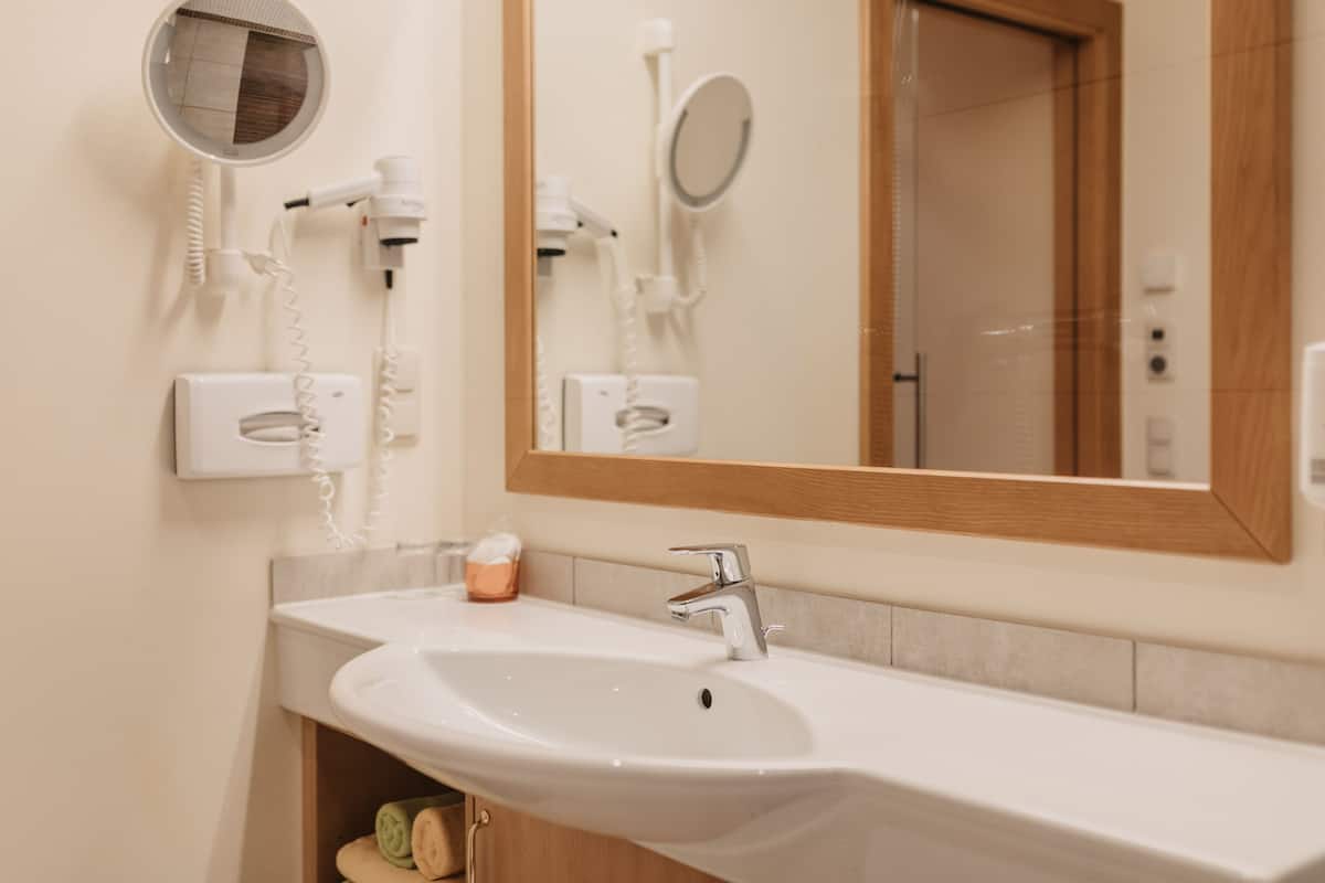 basic single room, balcony, mountain view | bathroom | free toiletries, hair dryer, towels
