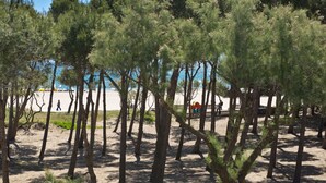 Una zona de playa con pinos y un sendero arenoso.