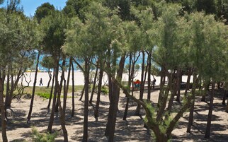 Ubicación a pie de playa