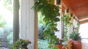 Une véranda avec des plantes en pot et un banc.