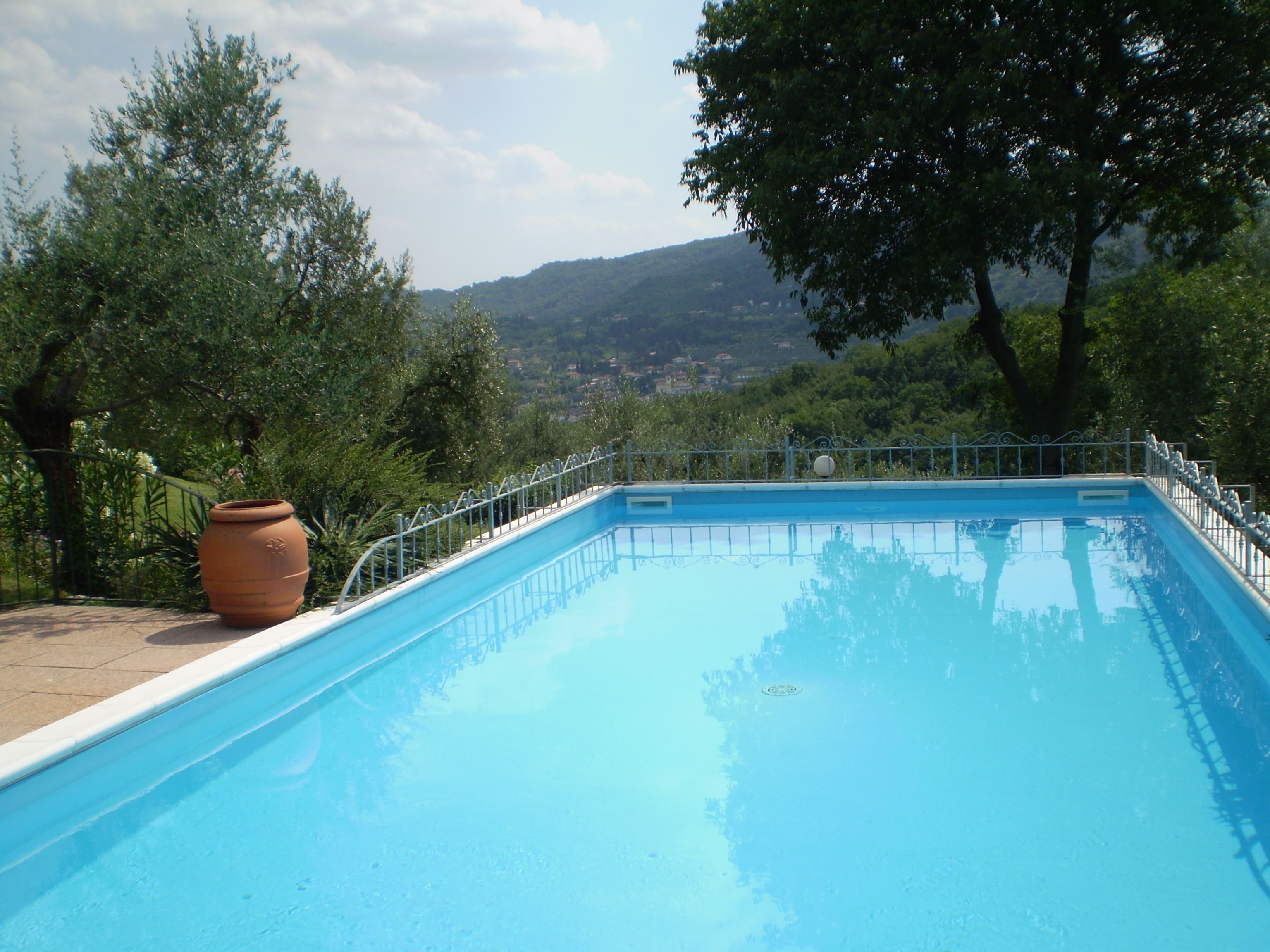 Piscina rectangular con barandilla metálica, rodeada de árboles y vista a un paisaje distante.