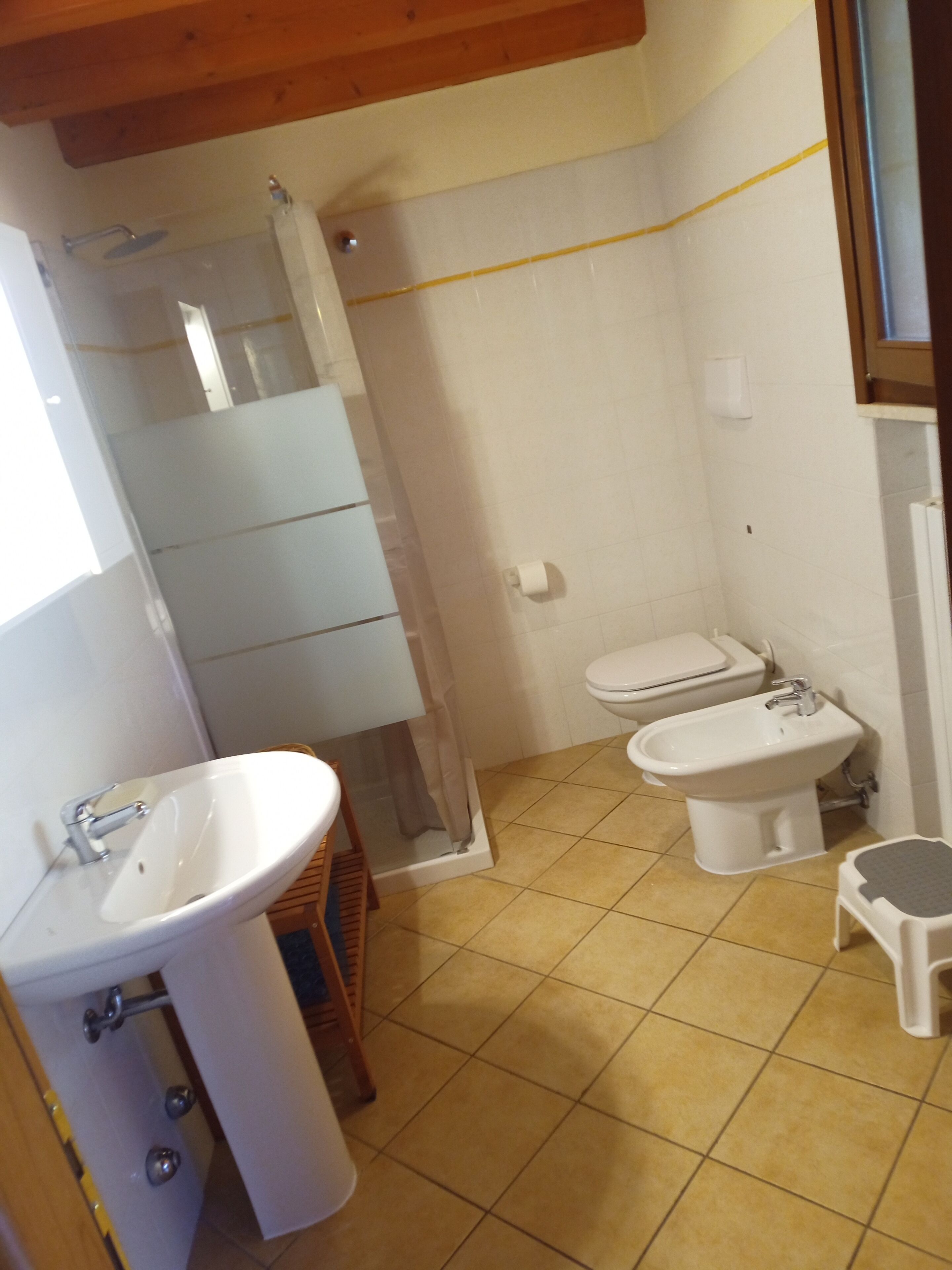 Dusche, Regendusche, Haartrockner, Bidet