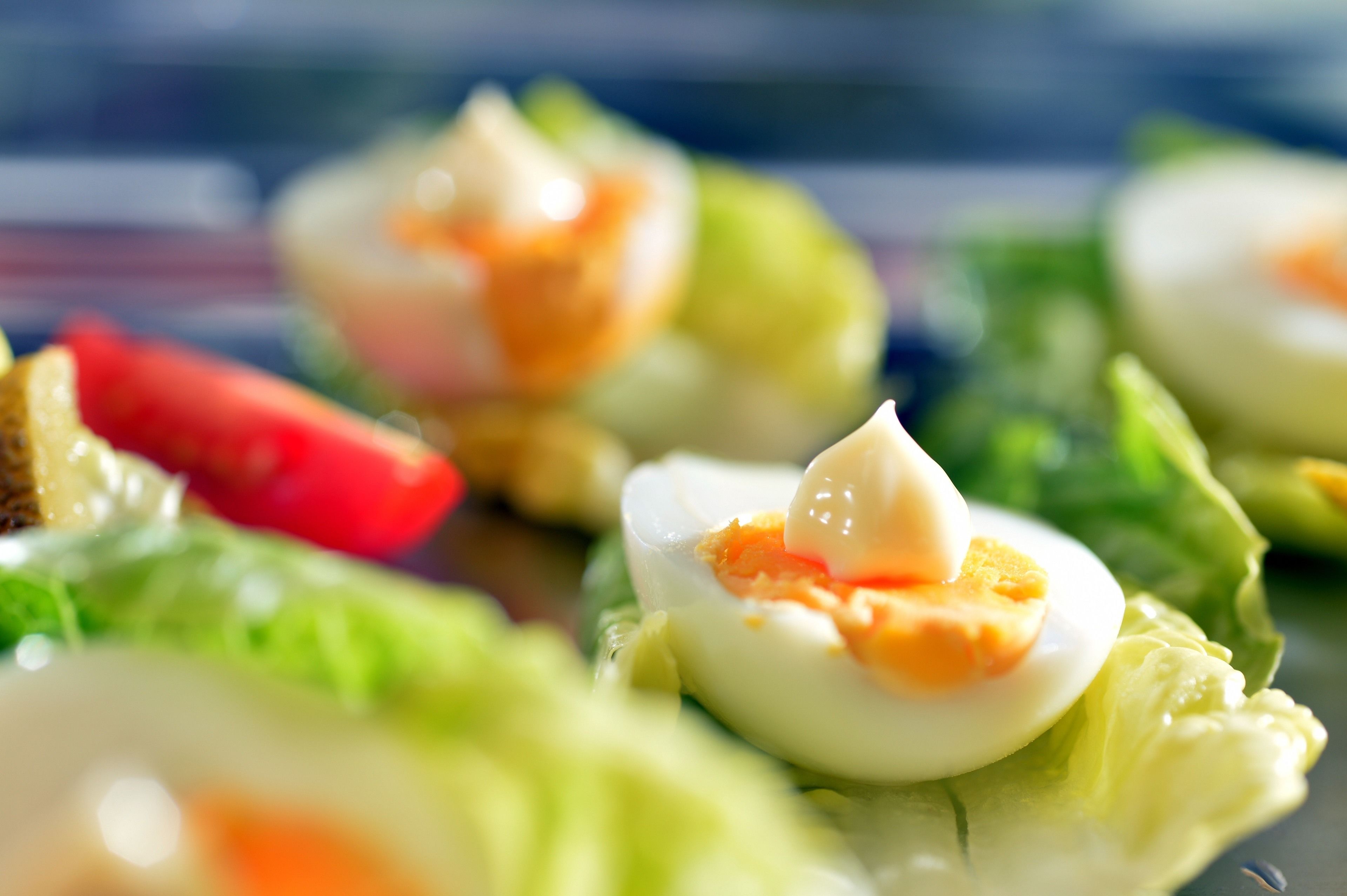 Foto - Hotel Schöngarten garni