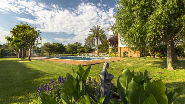 Un jardín cuidado con piscina, rodeado de abundante vegetación y árboles.
