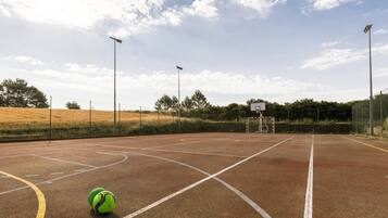 Un campo da basket all'aperto con un pallone verde, linee bianche e un canestro.