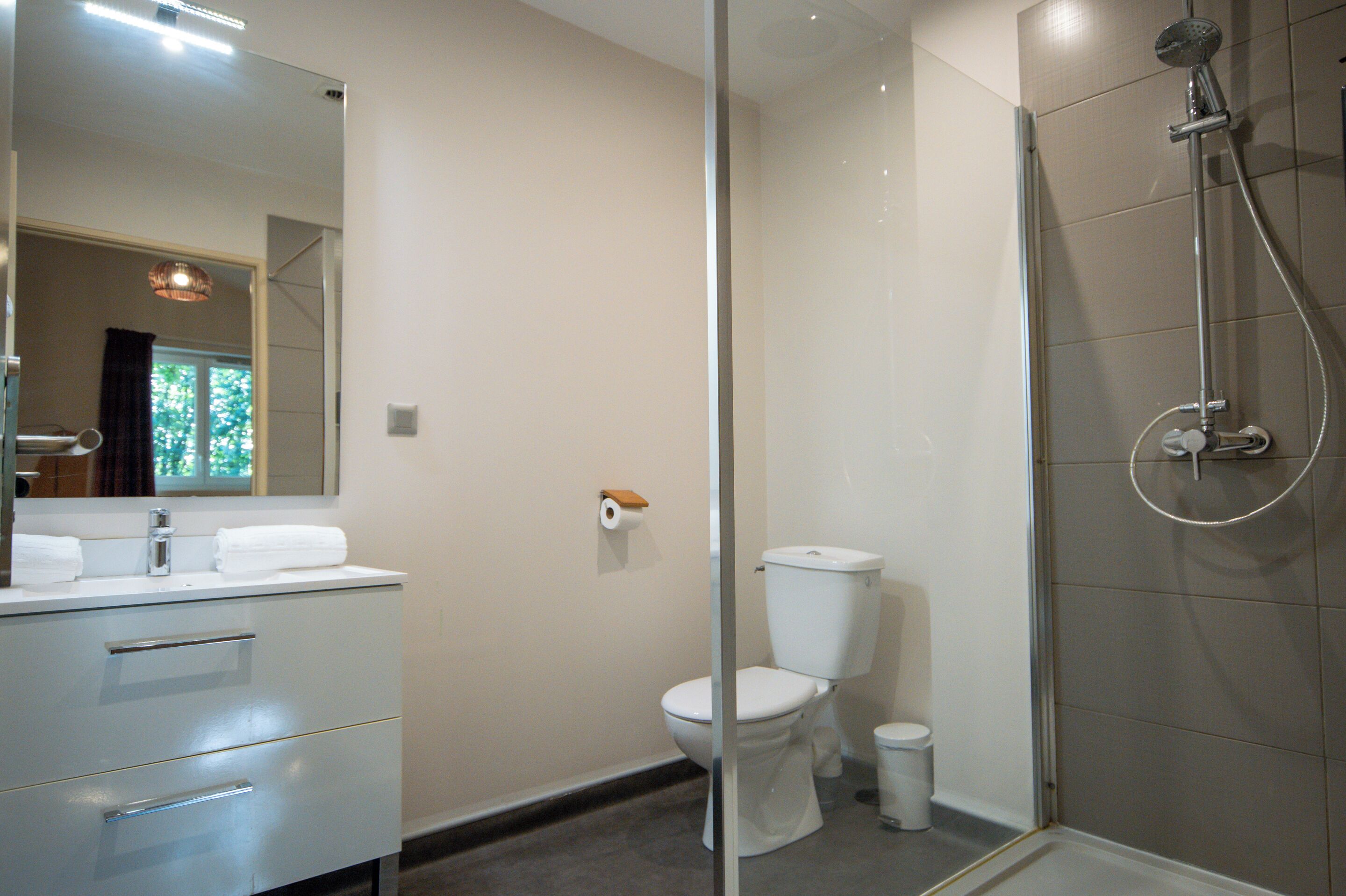 Une salle de bain comprenant des toilettes, une douche et un lavabo avec un miroir.