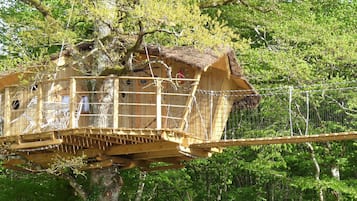 Cabane dans les arbres