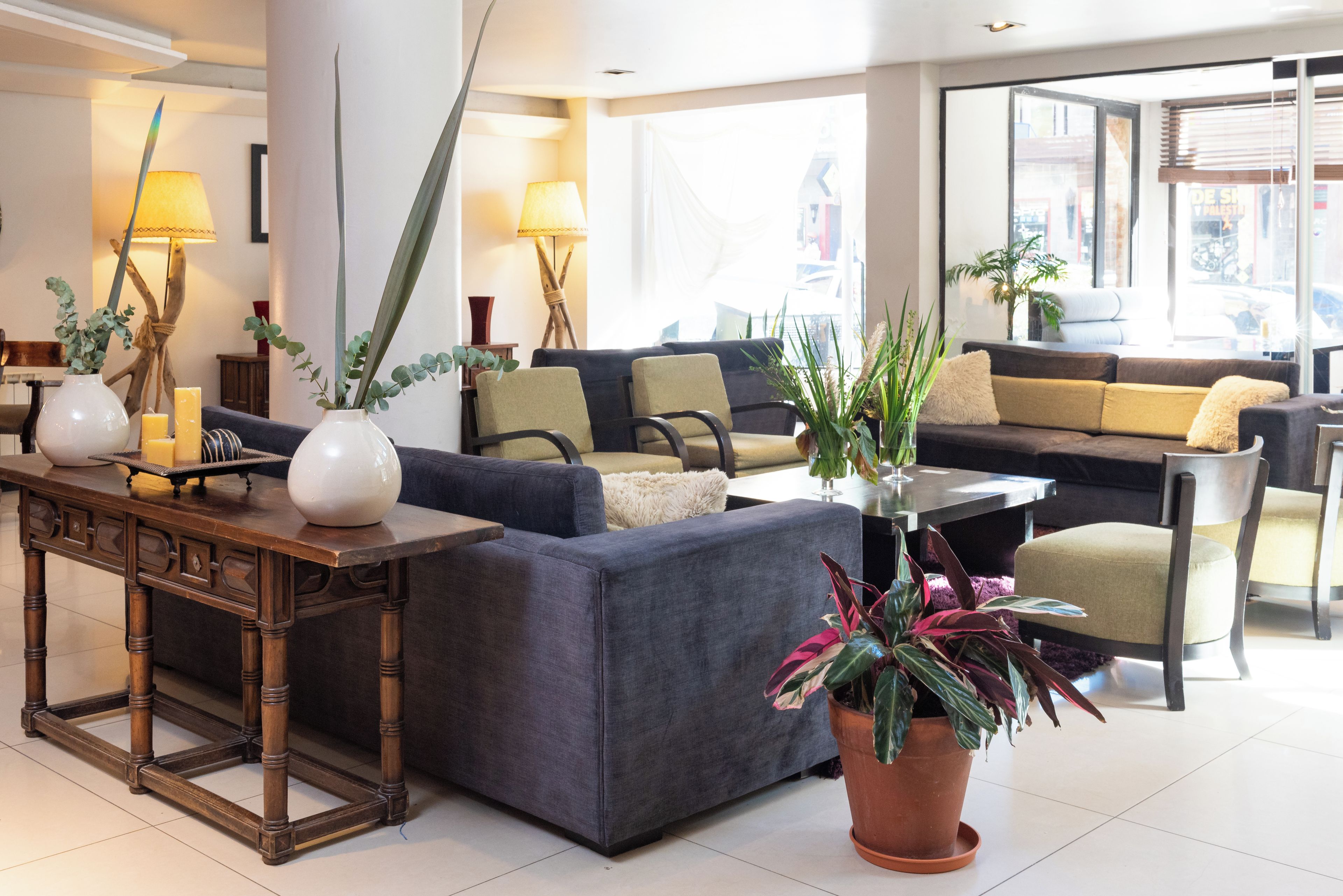 Una sala de estar moderna con un sofá azul oscuro, una mesa de centro de madera y plantas en macetas.