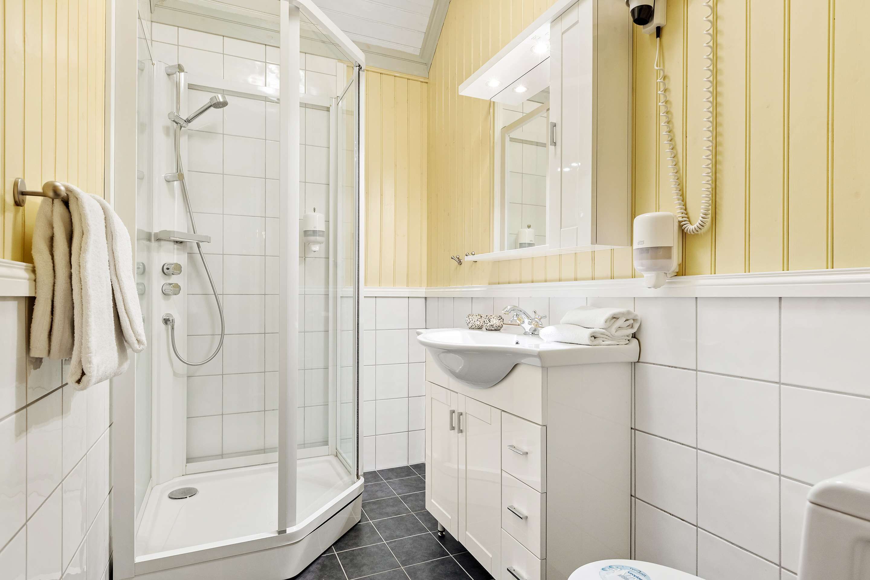 Une salle de bain équipée d’une douche, de toilettes, d’un lavabo et d’un miroir.