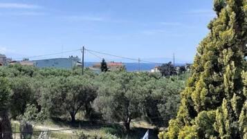 Double Room | Balcony view