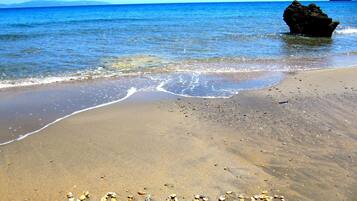 Kostenloser Shuttle zum Strand, Liegestühle, Sonnenschirme, Volleyball