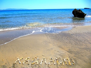 Navette gratuite vers la plage, chaises longues, parasols, beach-volley