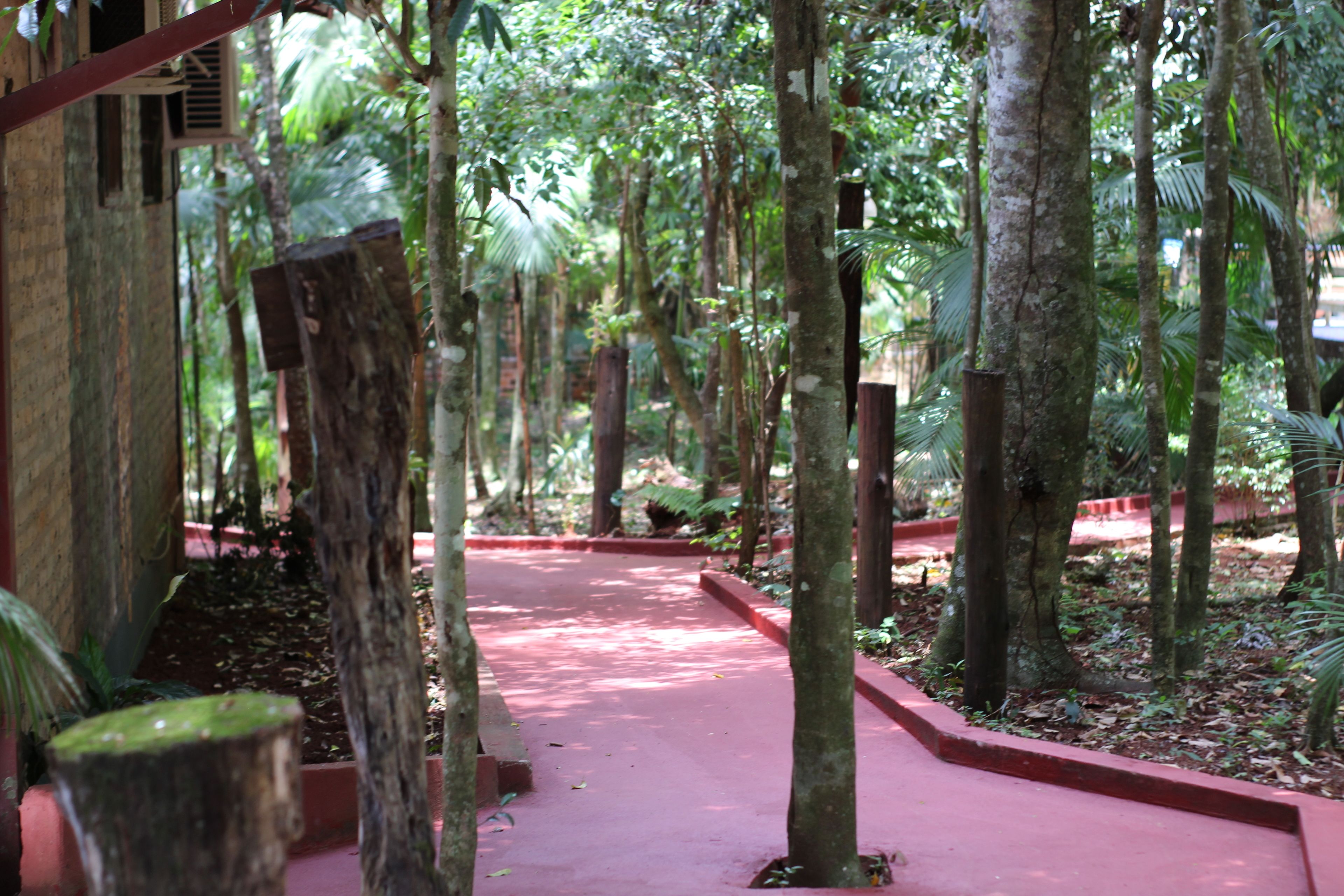 Photo - Palo Rosa Lodge