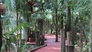 Un sendero rodeado de árboles y follaje, que lleva a un edificio con techo rojo.