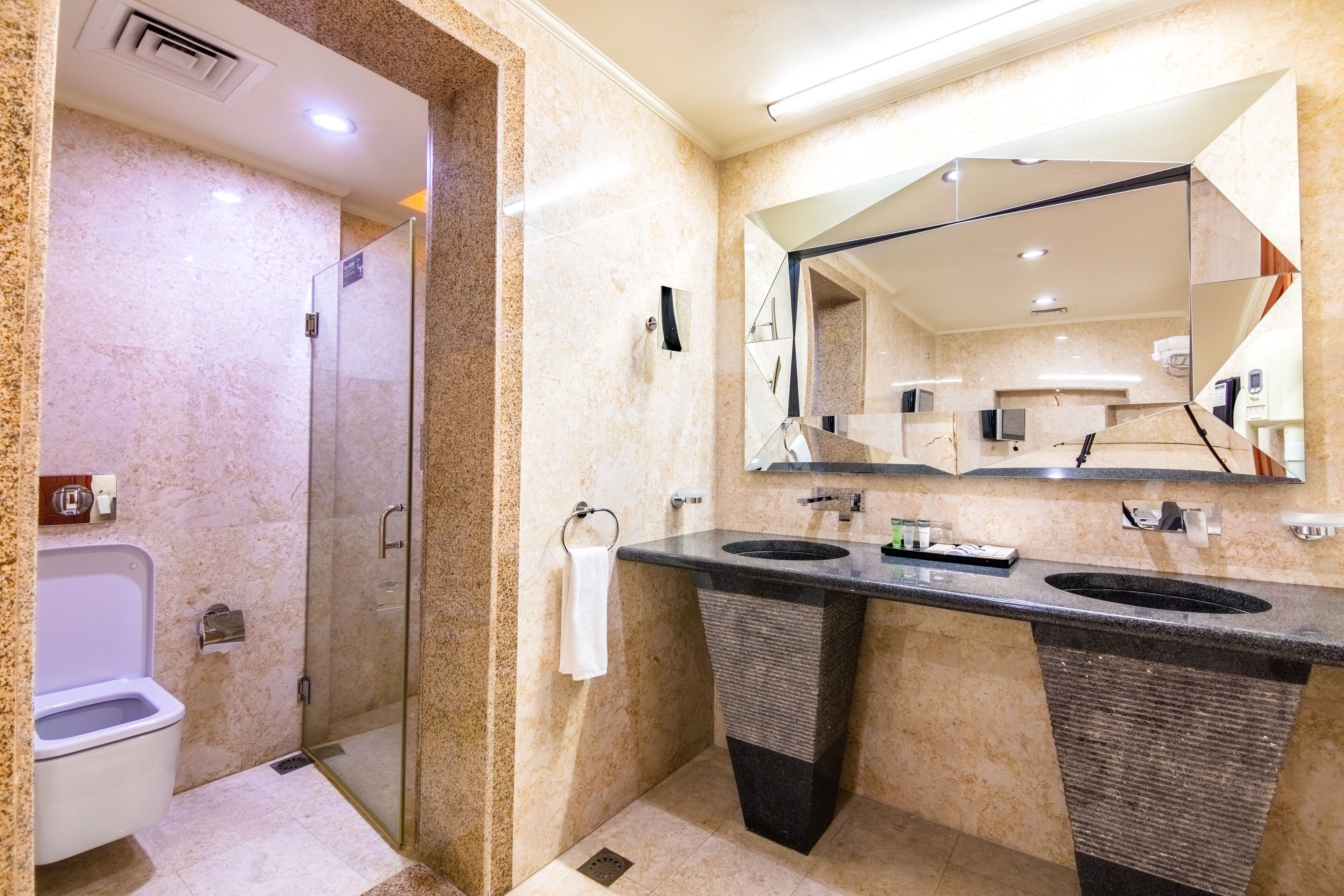 separate bathtub and shower, rainfall showerhead, free toiletries