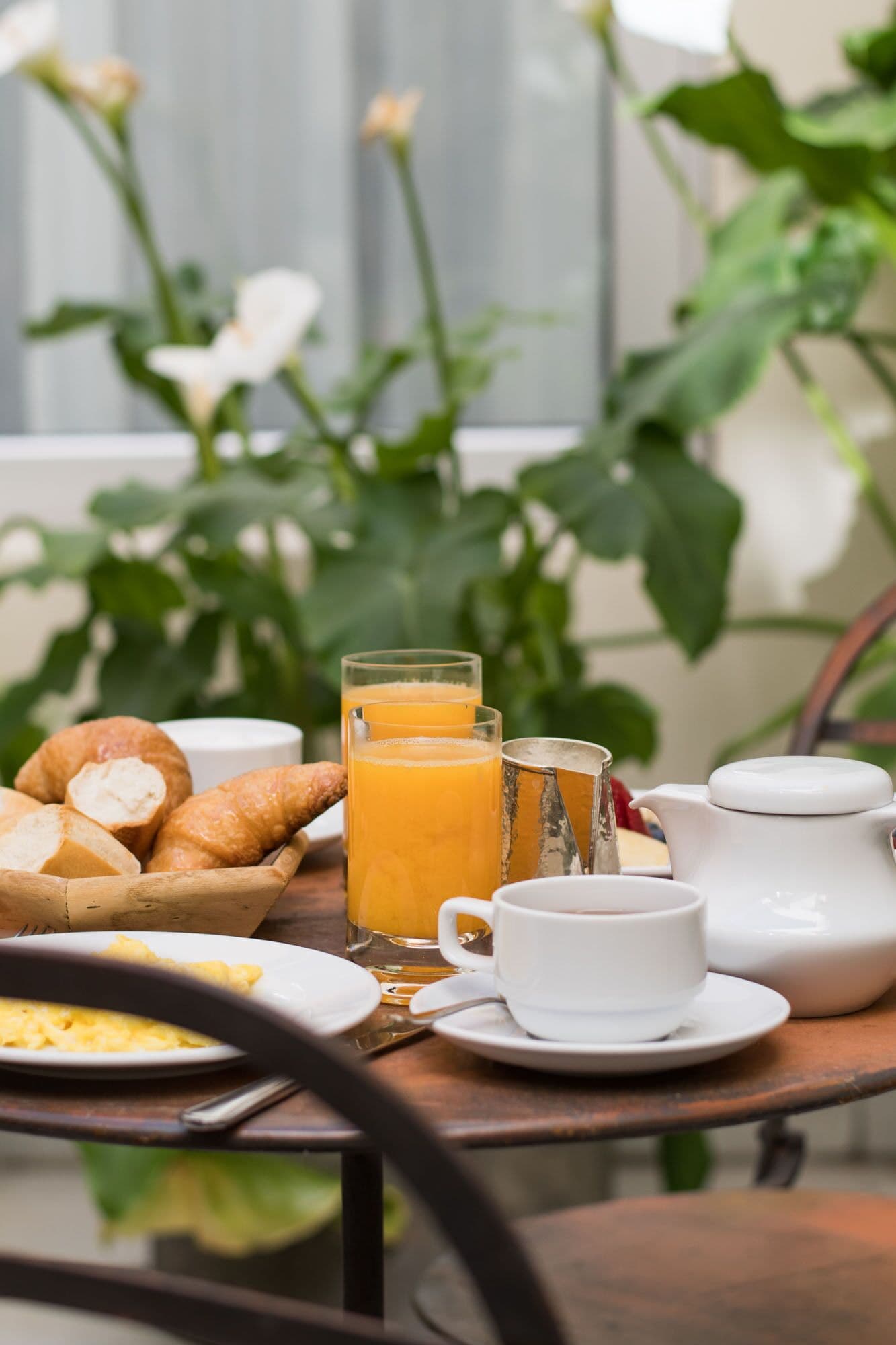 Foto - Magnolia Hotel Boutique