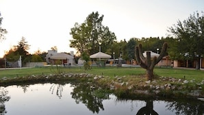 A garden with a pond, a cactus, and a gazebo. - Hostería y Cabañas Valle Fertil (San Agustin de Valle Fertil)