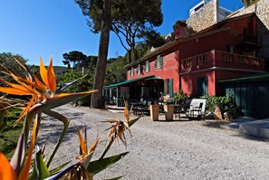 Property grounds - Le Jardin d'Emile (Cassis)