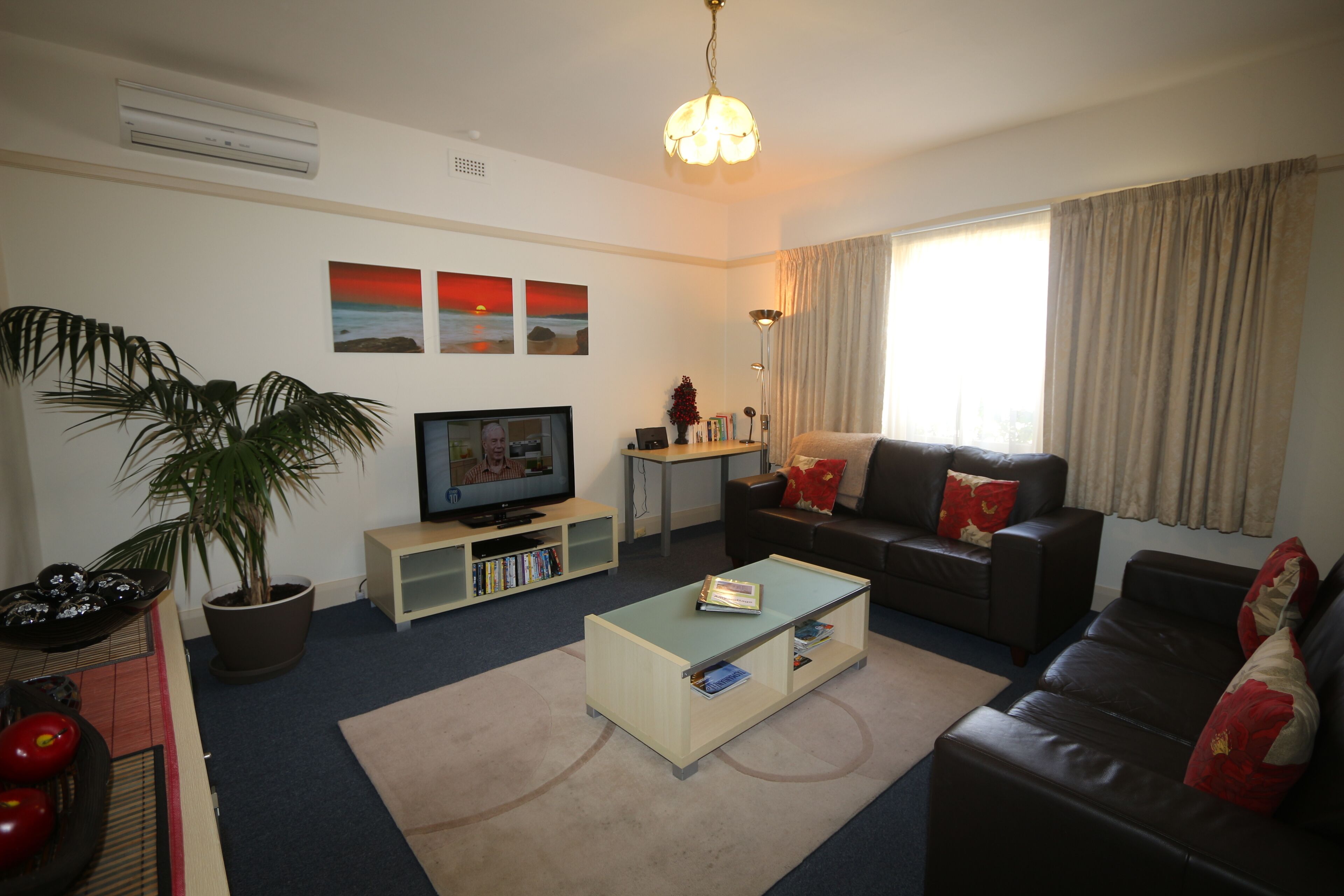 A living room with a television, sofa, coffee table, and a potted plant.