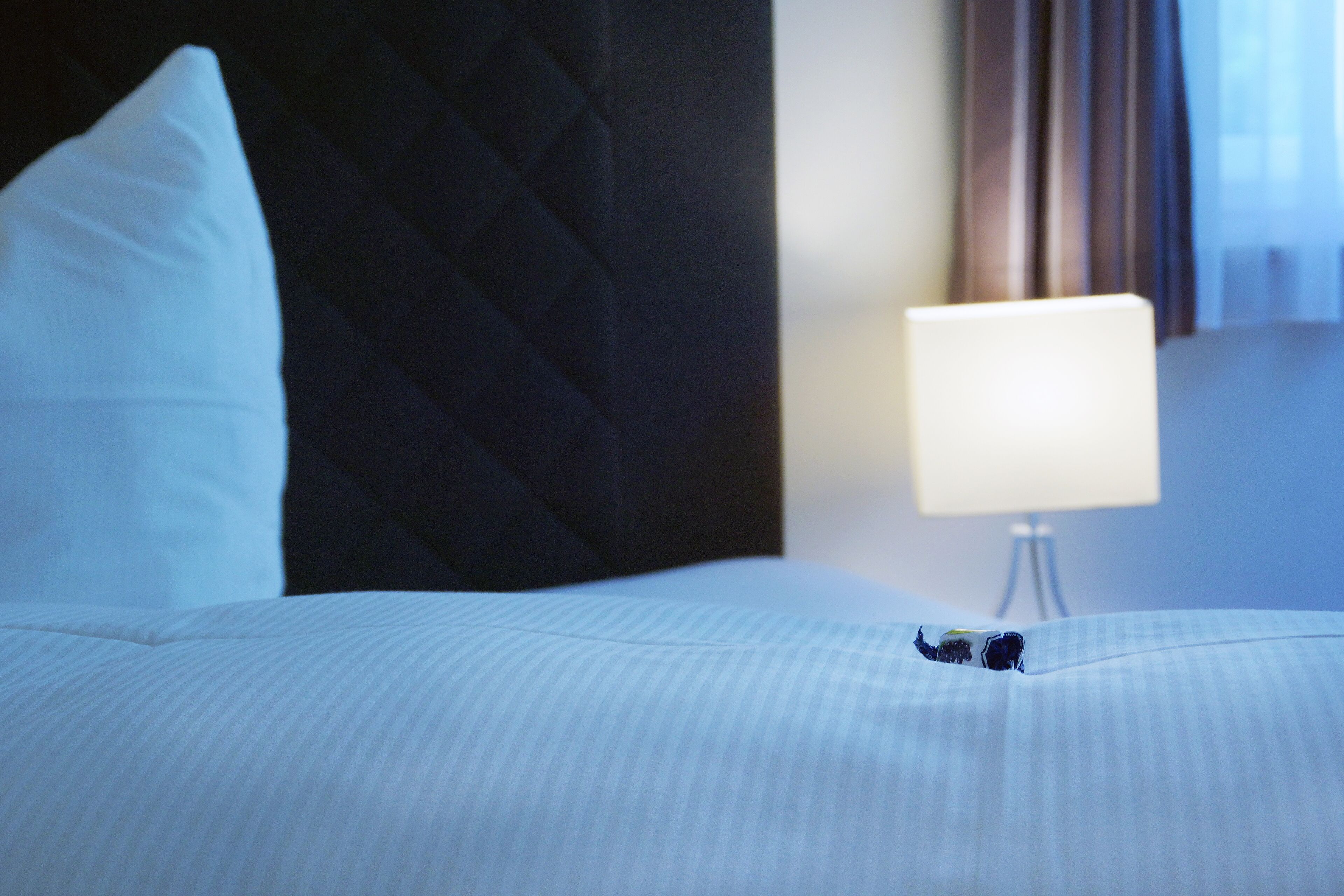 A hotel room with a neatly made bed, a bedside lamp, and a dark headboard.