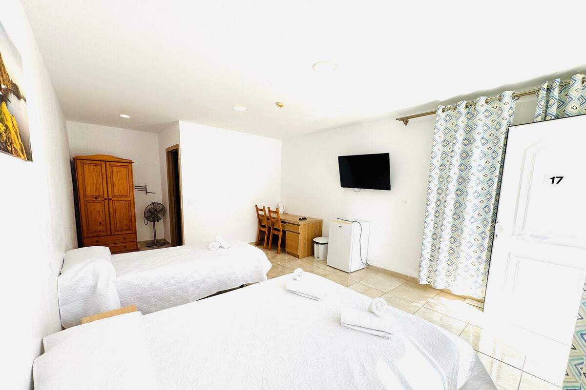 Habitación de hotel con dos camas, un escritorio, televisión, armario y baño.