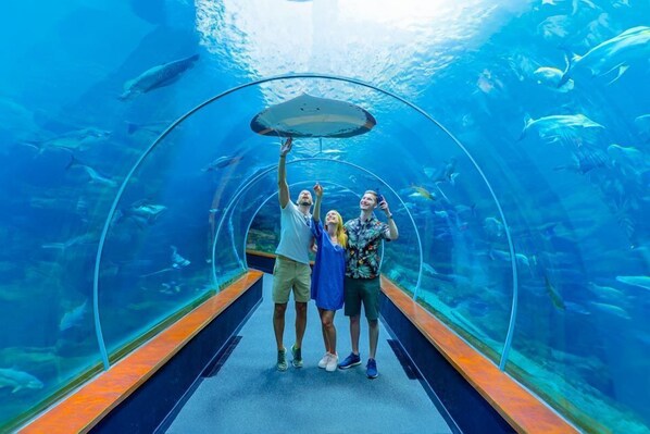 A transparent tunnel with people inside, surrounded by water and fish.