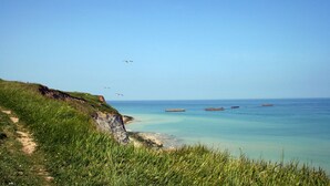 Un paisaje costero con un sendero herboso que lleva al mar, cielos despejados y algunas aves volando.