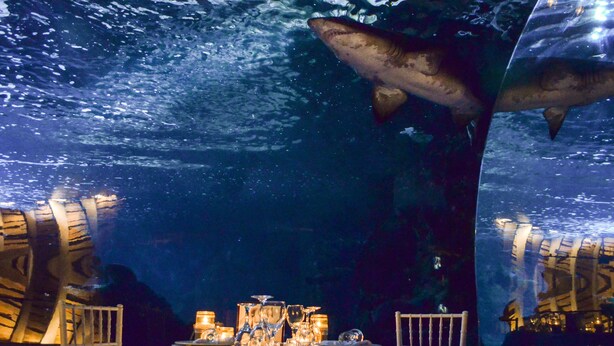 Un área de comedor submarina con una mesa dispuesta para dos personas, rodeada de grandes acuarios con tiburones.