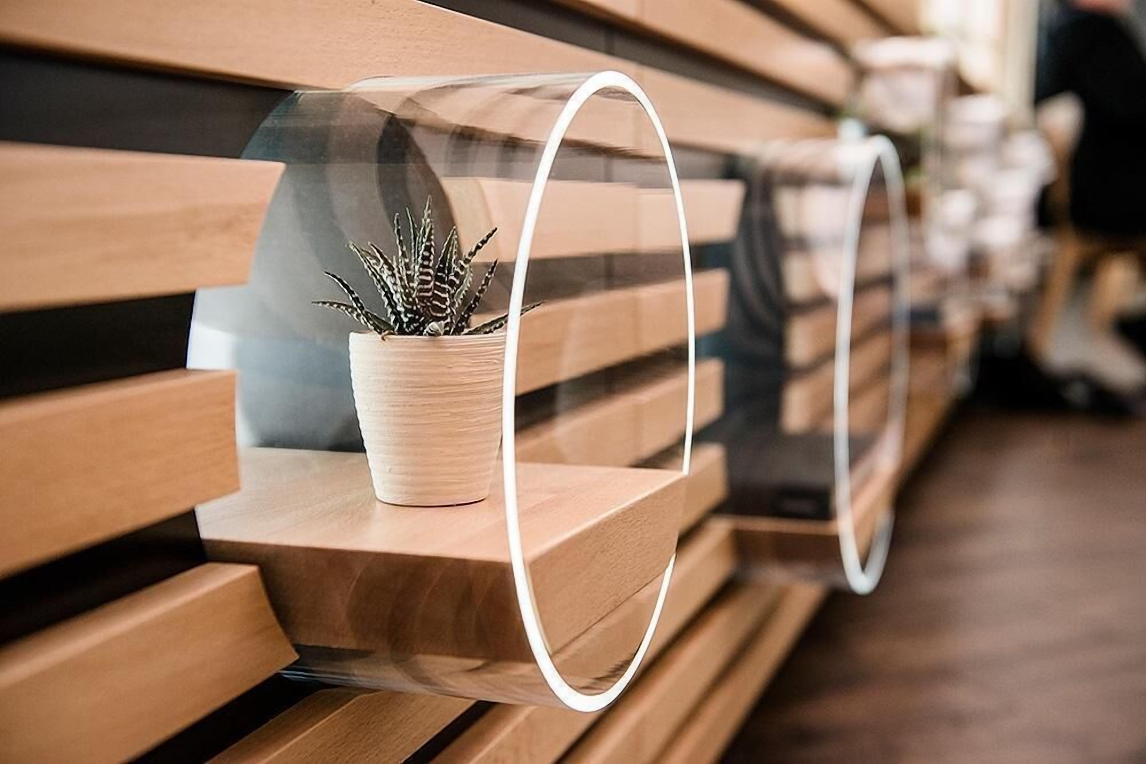 A row of wooden benches with transparent circular frames, each holding a small potted plant.