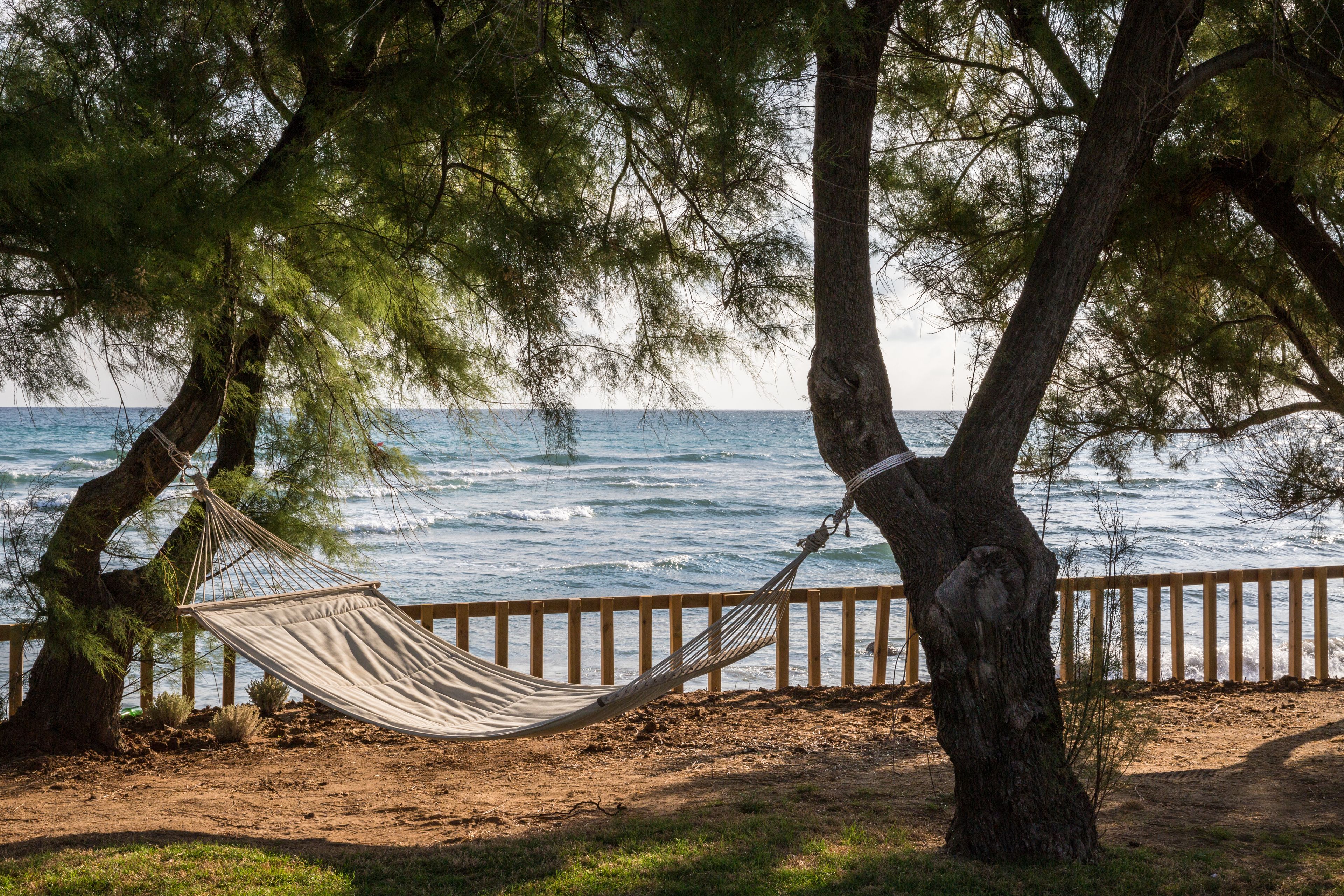 Un hamac est tendu entre deux arbres, offrant une vue sur la mer.