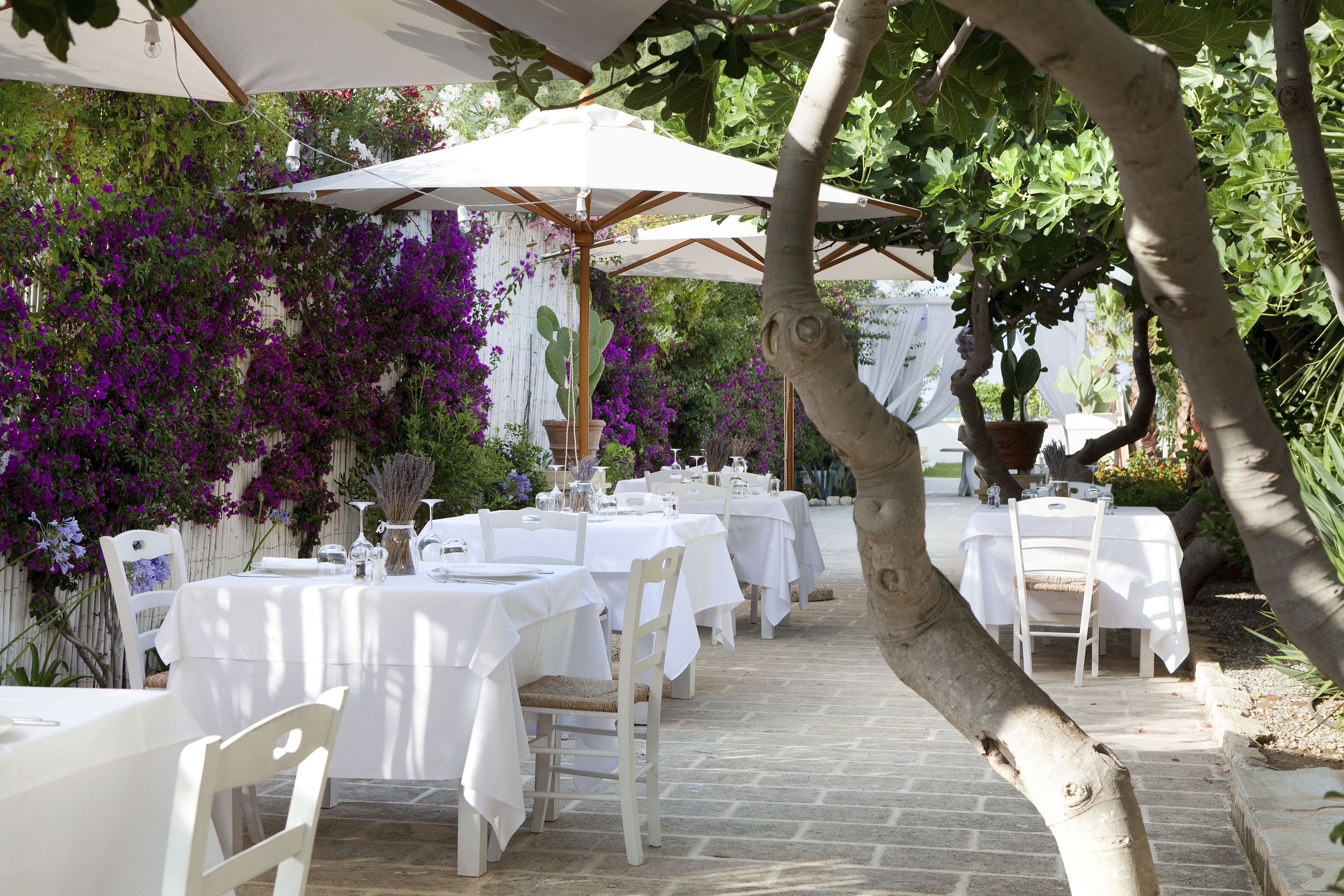 An outdoor dining area with white tables and chairs, surrounded by lush greenery and purple flowers.