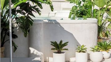 1 chambre, minibar, coffres-forts dans les chambres, bureau