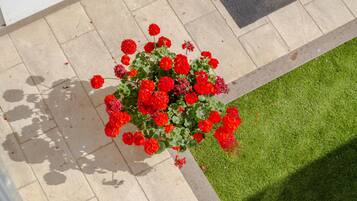 Un giardino con fiori rossi e una piccola area di erba verde.