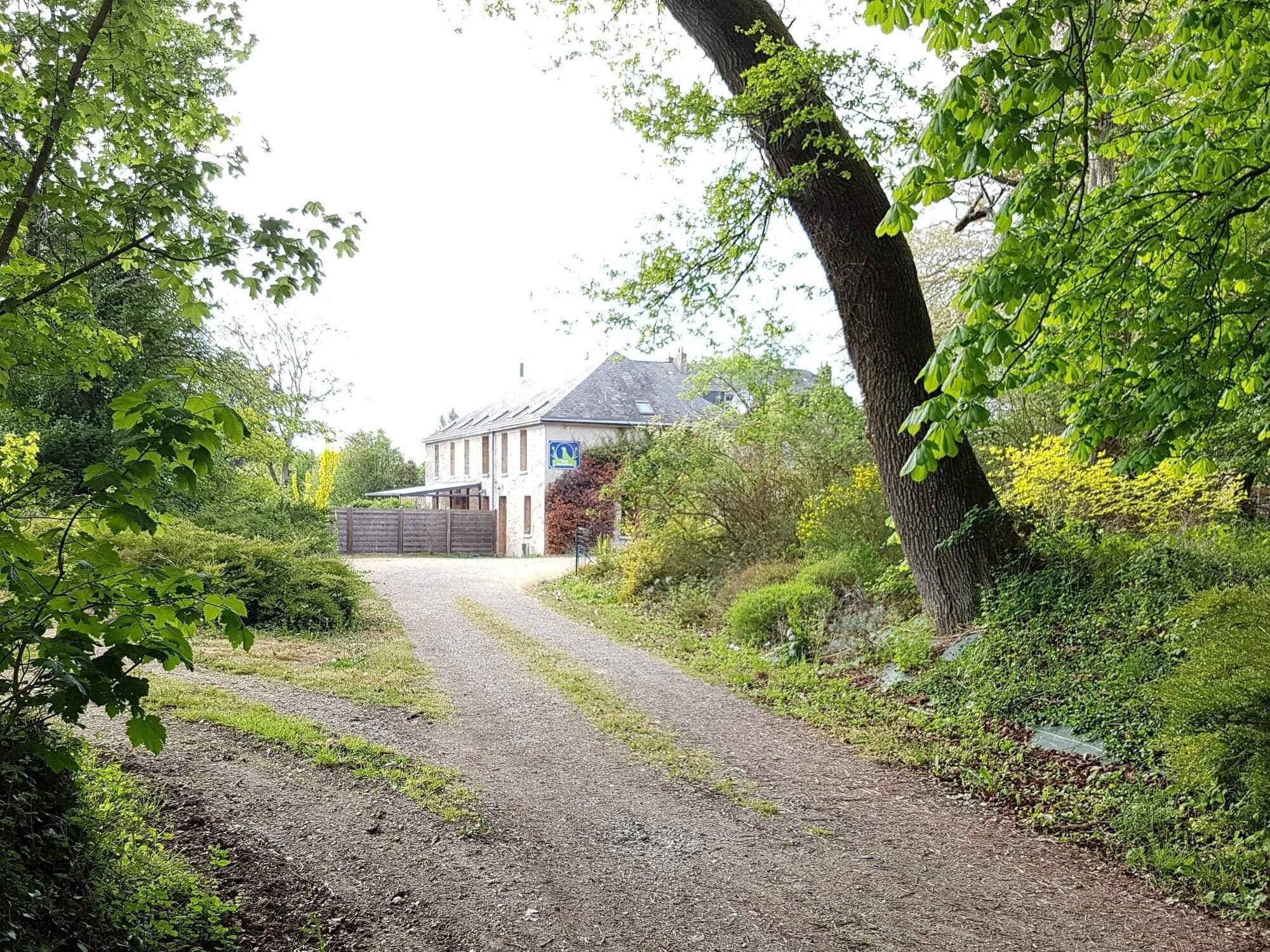 A gravel driveway leading to a white house with a blue sign, surrounded by lush greenery and trees.