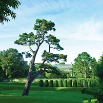 Jardín