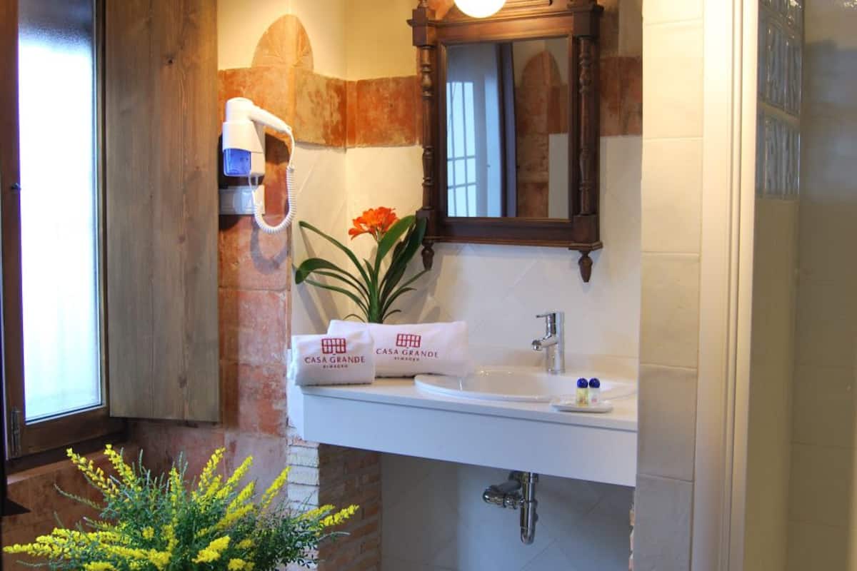 shower, hydromassage showerhead, hair dryer, towels