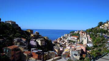 Vista desde la propiedad