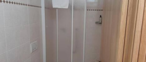 Ducha con una toalla blanca colgada en la puerta, dispensador de jabón en la pared y un porta papel higiénico.