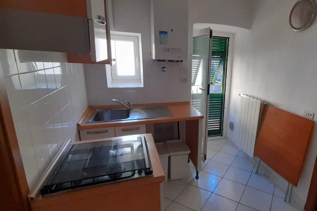 Basic Studio, 1 Bedroom, Annex Building | Private kitchen