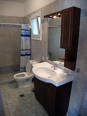 A bathroom with a toilet, sink, and shower. - La Casa Di Nonna Anna (Lefkada)