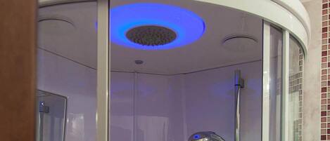 Apartment, 1 Bedroom | Bathroom shower