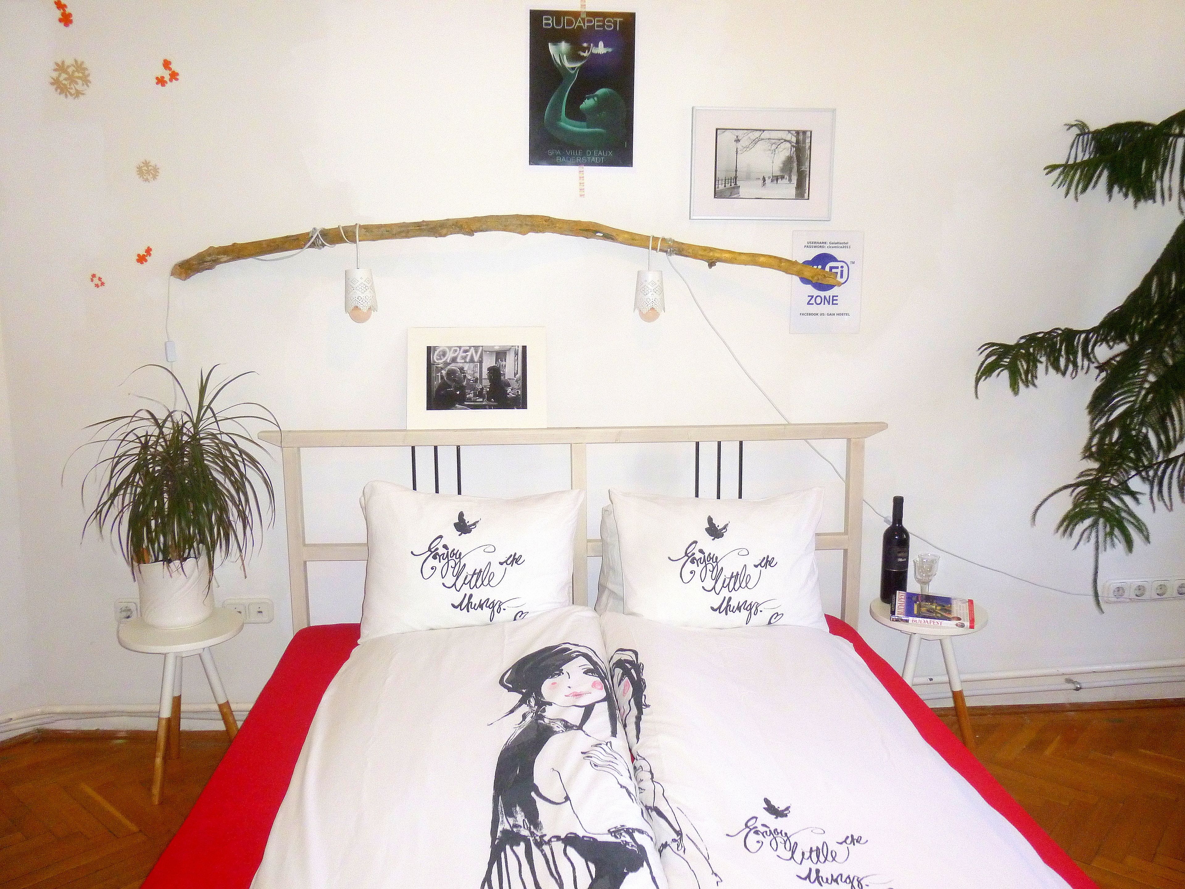 Photo - Gaia Astoria