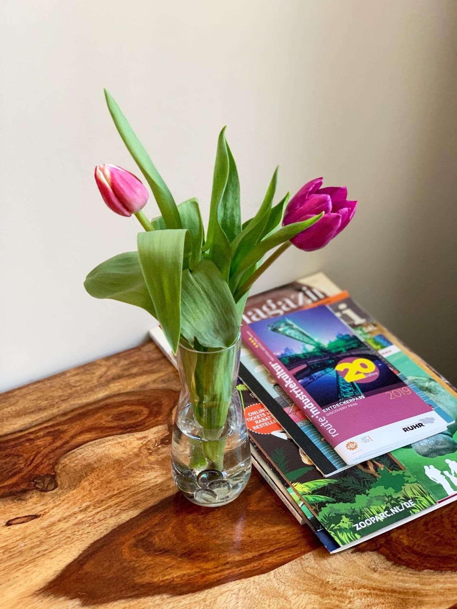 Un florero de vidrio con tulipanes sobre una superficie de madera, junto a una revista de viajes.