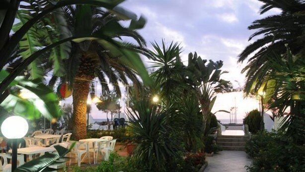 An outdoor seating area with tables and chairs, surrounded by tropical plants and palm trees. - Hotel Mondial (Praia a Mare)