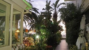 A narrow pathway flanked by lush tropical plants and a building with large windows. - Hotel Mondial (Praia a Mare)