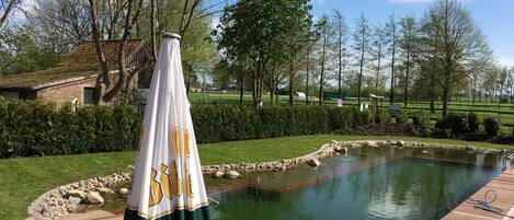 Una piscina al aire libre, tumbonas