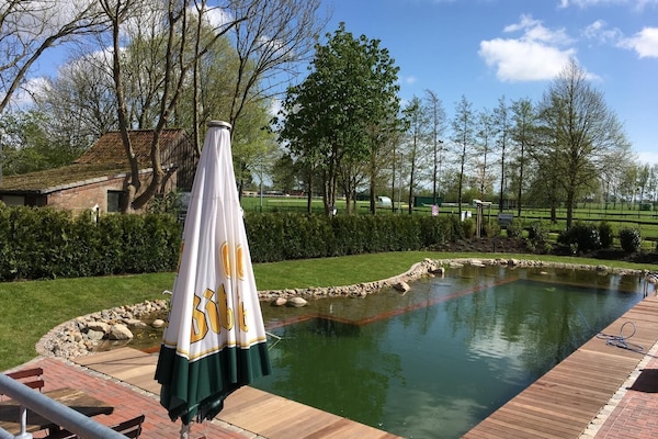 Piscina all'aperto, lettini